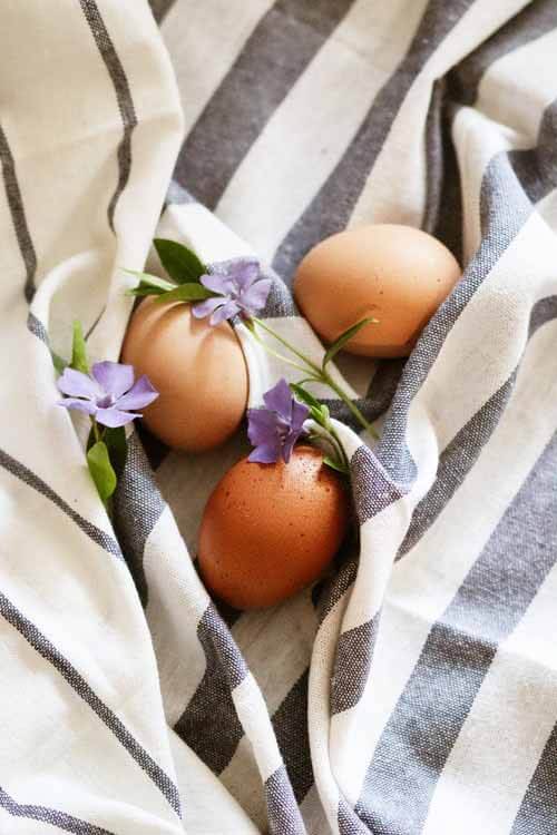 Eggs the best morning breakfast